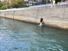 -島原温泉観光協会
