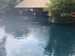 -三亚湾海居铂尔曼度假酒店