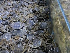 -聚盛源蒸汽海鲜火锅烤肉自助(巨川金海岸购物广场店)