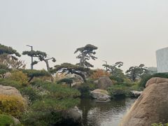 -罗红摄影艺术馆