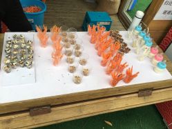 饲料-萌宠亲子动物乐园(槐房万达店)