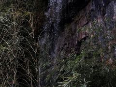 -龙苍沟森林公园