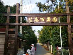 -上海长兴岛郊野公园