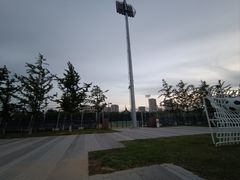 -长白岛森林公园