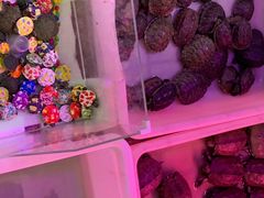 -双季花艺园艺市场(浦东店)