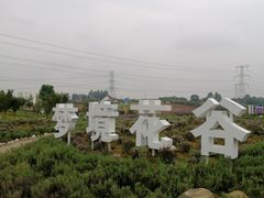 -紫颐香薰山谷景区