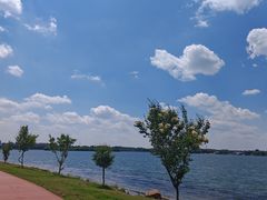 -丁香湖公园