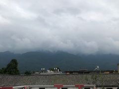 -喵屿·大理花园猫咖