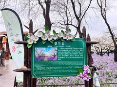 -江苏三台山国家森林公园