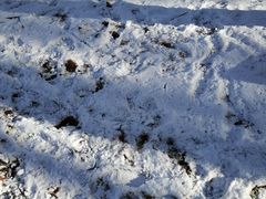 -硗碛藏寨·神木垒景区