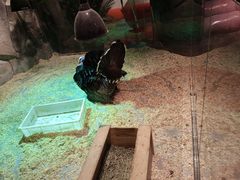 -zoonana室内动物园(东方福来德店)