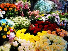 -爱尚幸福鲜花(上地实体店)