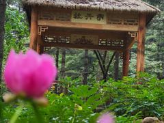-洛阳白云山景区