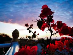 -三亚南山文化旅游区