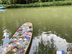 -同里国家湿地公园