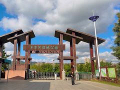 -羊亭河湿地公园