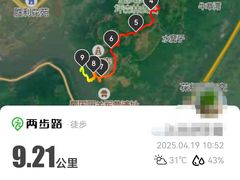 -铁山坪森林公园