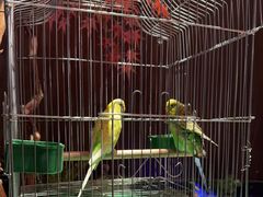 -喜湘宴·精致湖南菜(和平西桥店)