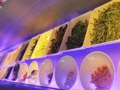 -快乐大桶水养生足浴SPA(前兴路店)