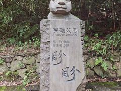 -都江堰中华大熊猫苑