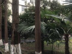 -浙江省团校