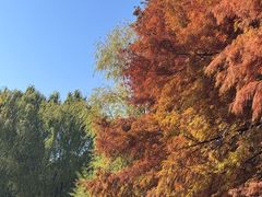 -长广溪湿地公园