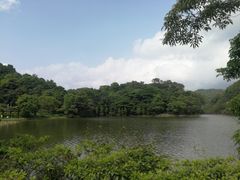 -广州市石门国家森林公园