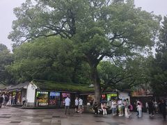 -普陀山风景名胜区-法雨禅寺