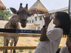 -西霞口神雕山野生动物世界