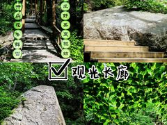 -大岭沟猕猴桃谷风景区