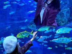 -海合安成都极地海洋公园