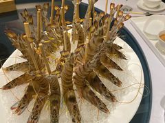 -璞御·海鲜·雪花牛肉局(宾水西道店)