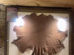 -青岛葡萄酒博物馆