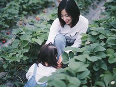 -小鱼草莓采摘园农家乐·小鱼餐厅