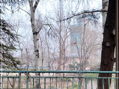 -环城公园