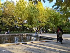 -玲珑塔公园