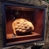 河源市东源县博物馆