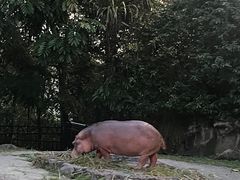 -夜间野生动物园