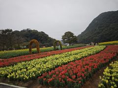 -广州市石门国家森林公园