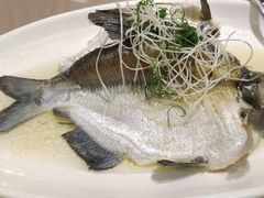 -四海酒家生态粤菜