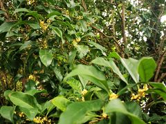 -上海市公安局交通警察总队车辆管理所三分所