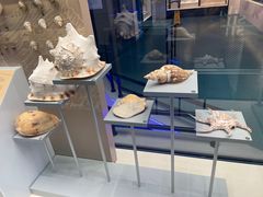 -上海中国航海博物馆