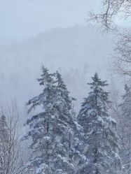 -大秃顶子山(雪谷店)