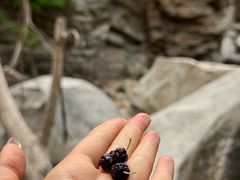 -黑龙潭风景区