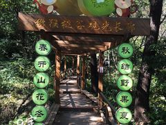 -大岭沟猕猴桃谷风景区