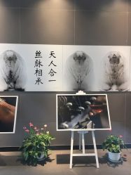 点击看大图 -太湖雪蚕桑文化园