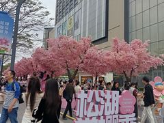 -东莞松山湖万象汇