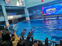 -锦艺城海洋馆
