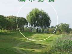 -两河城市森林公园