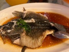 -金美华轩(东方路齐鲁店)